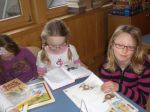 Bibliothek (12)